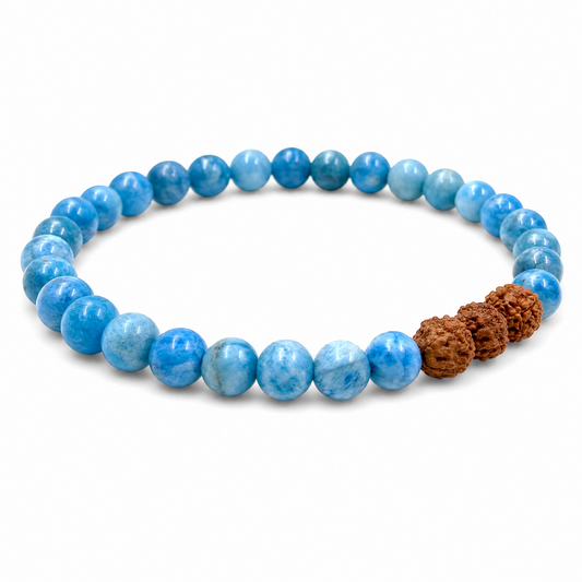 Kyanite + Rudraksha Bracelet